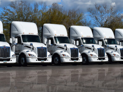 Row of white Peterbilt TCI cabs.