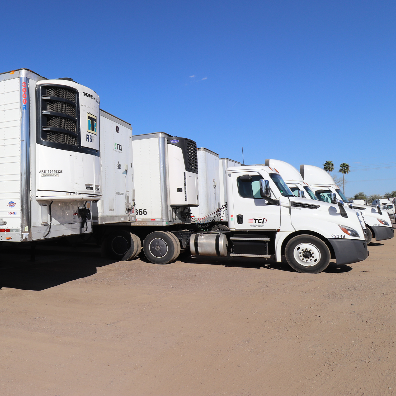 Row of TCI Reefers